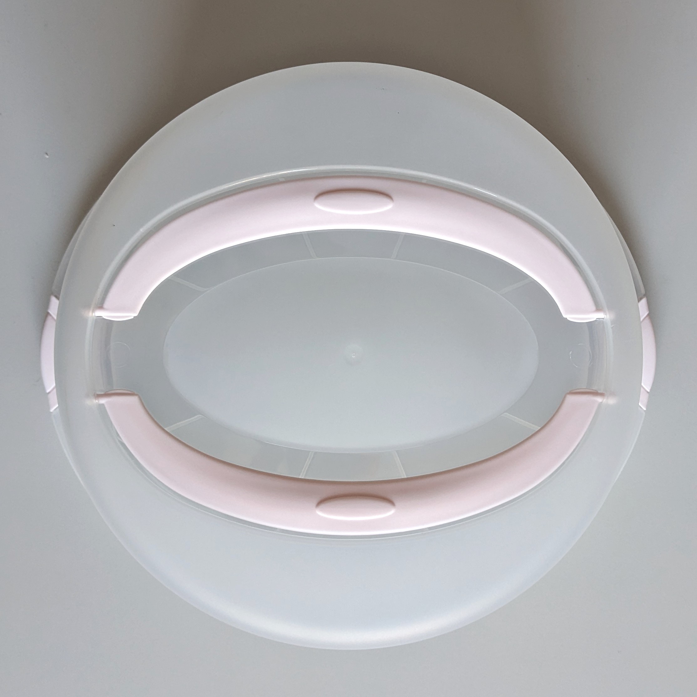 Transportbehälter für Torten